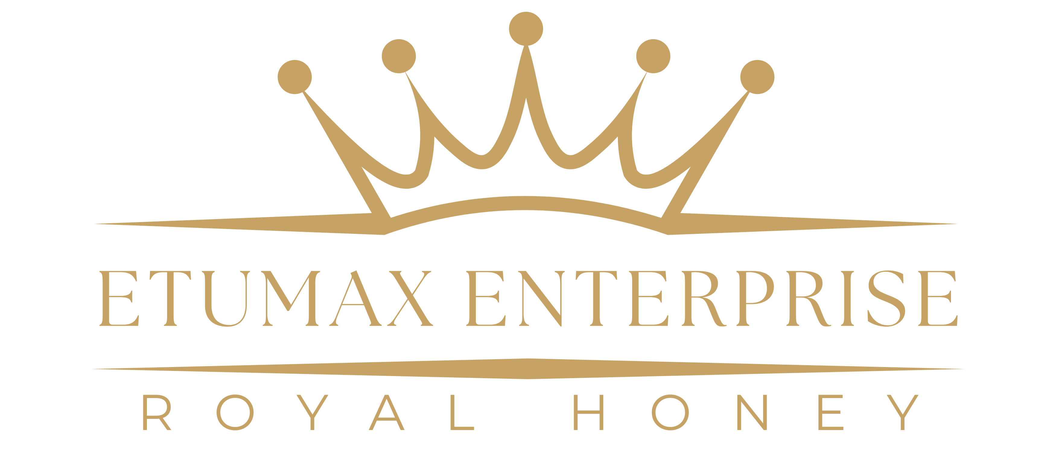 ETUMAX ENTERPRISE
